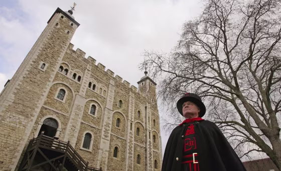 Image: Bird Flu Worries For Tower Of London Ravens